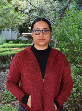 Diana Laura Álvarez Solís